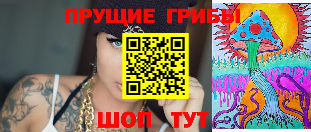 Дмитров  Псилоцибиновые грибы мухоморы  Галлюциногенные грибы MAGIC MUSHROOMS  продажа наркотиков  Вход с VPN 