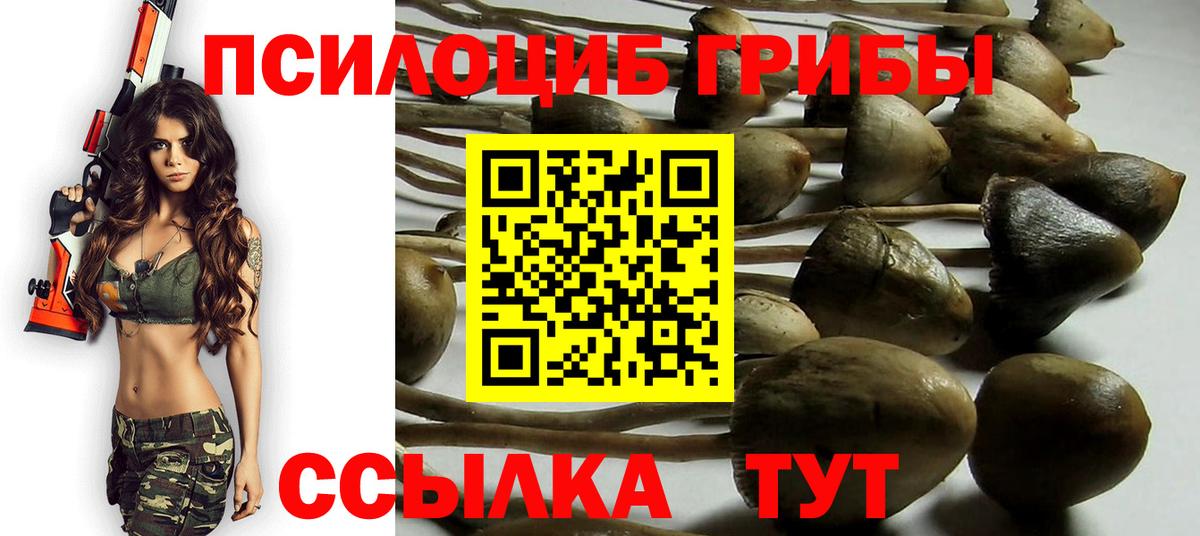 Псилоцибиновые грибы GOLDEN TEACHER Дмитров